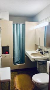 La salle de bains est pourvue de toilettes et d'un lavabo. dans l'établissement Apartmenthaus Gauenpark - CharmingStay, à Flumserberg