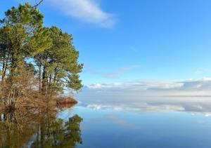 Naturlandskabet i nærheden af feriehuset