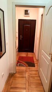 a hallway with a brown door and a rug on the floor at Apartment Boulevard in Belgrade