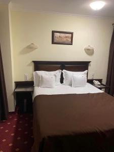 Foto dalla galleria di Hotel TROESMIS a Turcoaia