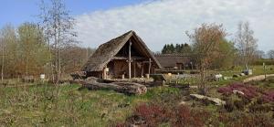 Vườn quanh Chalet Drenthe huren! Hart van bosrijk Drenthe! -Rust, ruimte en ontspanning is genieten! Welkom! -Peace, space and relaxation is enjoyment! Welcome! -Ruhe, Raum und entspannung sind genuss! Willkommen!