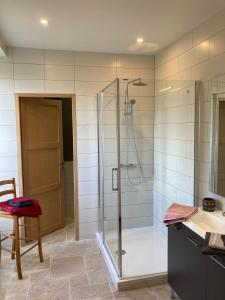 bagno con doccia e porta in vetro di Les chambres de Mont St Sébastien a Soignolles-en-Brie