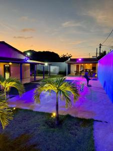 een huis met een palmboom en paarse lichten bij Recanto das Margaridas in Pindoretama
