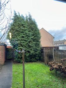 a yard with a fence and a tree at Patchway Homestay in Bristol