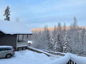 dom z samochodem zaparkowanym na śniegu w obiekcie Villa IRIS 4, Himos w mieście Jämsä