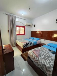 1 dormitorio con 2 camas y ventana en Jamaica Guest House en Asuán