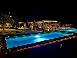 a swimming pool in a yard at night at Welness Roubenka Svratouch in Svratouch
