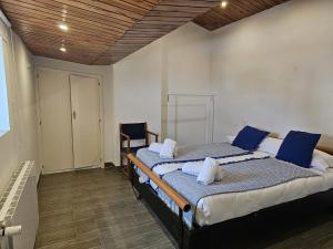シエラネバダにあるIMEDA PENIBETICO con vistas Sierra Nevadaのベッドルーム(青い枕の大型ベッド1台付)