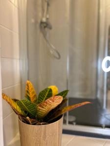 eine Vase mit einer Pflanze vor der Dusche in der Unterkunft Guest House Mameli44 in Busto Arsizio