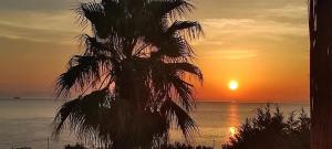 un palmier au coucher du soleil en face de l'océan dans l'établissement Alkioni Sea View Apartment, à Kato Zakros