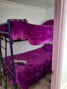 two bunk beds in a room with purple sheets at Departamentos k&m in Puerto Natales