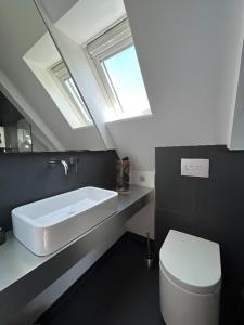 ein Badezimmer mit einem Waschbecken, einem WC und einem Dachfenster in der Unterkunft Rooftop Living inkl Homeoffice bis 4 Personen in Friedrichshafen