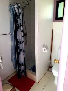 a bathroom with a shower and a toilet in it at Departamentos k&m in Puerto Natales