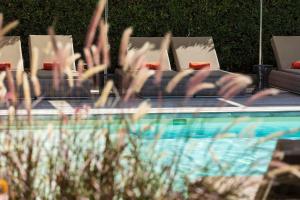 Bazén v ubytování Hôtel La Dimora & Spa nebo v jeho okolí