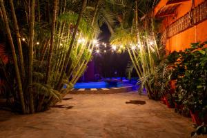 a courtyard with palm trees and a pool at night at Sol de Media Noche Jalisco in Sayula