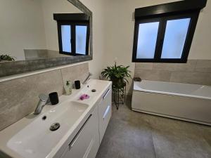 a bathroom with a sink and a tub and a mirror at Les ateliers in Nivelle
