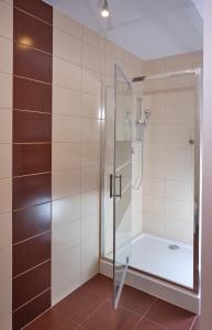 y baño con ducha y puerta de cristal. en Apartament Słoneczny 12, en Opole