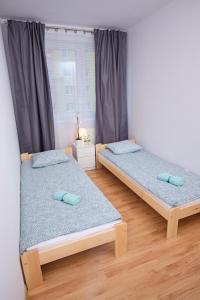 2 łóżka pojedyncze w pokoju z oknem w obiekcie Apartament Słoneczny 12 w mieście Opole