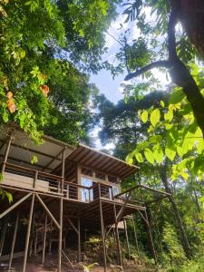a tree house in the middle of a forest at La Chagra vip in Villavicencio