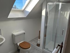 a bathroom with a toilet and a skylight at The Byre in Lichfield