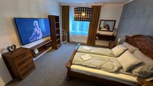 sala de estar con cama y TV de pantalla plana en Center House, en Dunaújváros