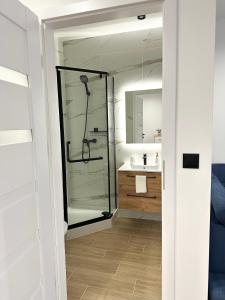 a bathroom with a shower and a sink at Apartament SASANKA in Kudowa-Zdrój