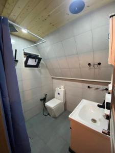 a bathroom with a toilet and a sink at Ashla A-Frame Lenkaran in Lankaran