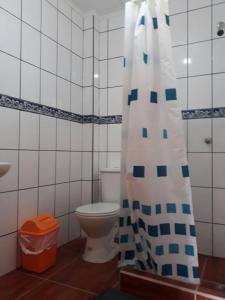 ein Bad mit einem WC und einem Duschvorhang in der Unterkunft Hostal vivar in Calama