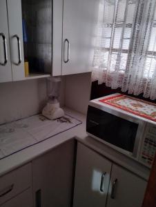 ゴヴェルナドール・セウソ・ラーモスにあるVenha ser felizの小さなキッチン(電子レンジ付)、窓が備わります。