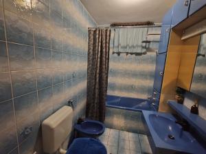 a blue bathroom with a toilet and a sink at Apartment Prešeren in Smarjeske Toplice