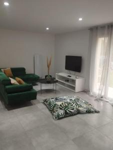 a living room with a green couch and a flat screen tv at Maison 115 m 2 avec Jardin in Carignan