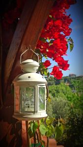 a light hanging from a house with red flowers at VELANIDIA HOUSE in Rafina