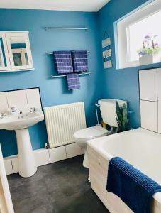 a blue bathroom with a toilet and a sink at Gorwel, Spacious 3 Bedroom Cottage near the Beach in Llanarth