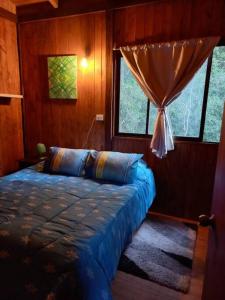 1 dormitorio con 1 cama en una habitación con ventanas en Acogedora cabaña en Caburgua, en Pucón