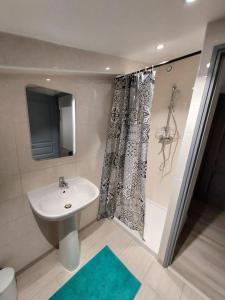 ein Bad mit einem Waschbecken und einer Dusche in der Unterkunft Appartement en duplex A113 in Draveil