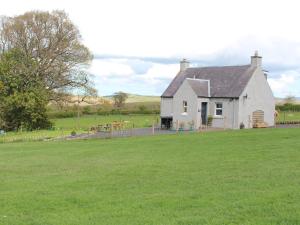 a house in a field with a grass yard at Birds Nest in Oxnam