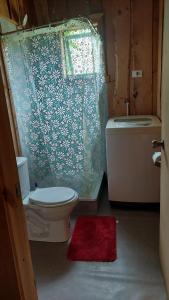a bathroom with a toilet and a shower and a red rug at Cabaña Río Iculpe in Lago Ranco