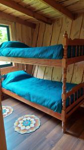 two bunk beds in a wooden cabin with blue sheets at Cabaña Río Iculpe in Lago Ranco