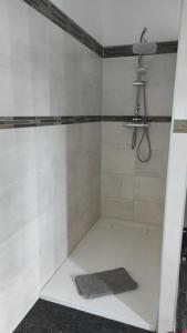 La salle de bains blanche est pourvue d'une douche. dans l'établissement Urlaub auf dem Reiterhof am See in Görlitz, à Görlitz