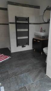 La salle de bains est pourvue d'un lavabo et de toilettes. dans l'établissement Urlaub auf dem Reiterhof am See in Görlitz, à Görlitz