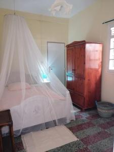 a bedroom with a bed with a mosquito net at Villa Coquelicot in Rivière-Pilote