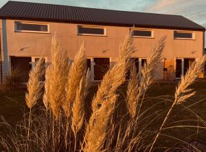 Gallery image of BALTICO Domki Letniskowe in Sarbinowo +48 photos