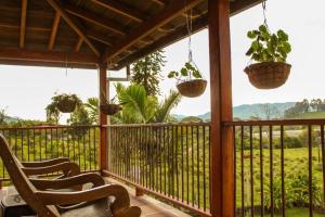 a screened in porch with two chairs and potted plants at Santa bárbara in Santa Rosa de Cabal