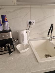 a kitchen counter with a sink and a coffee maker at Private house in Vaslui