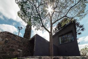 un árbol frente a un edificio con el sol brillando en El Refugio Apart en Villa Serranita