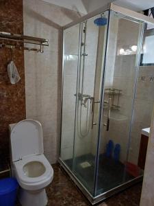 a bathroom with a toilet and a glass shower at Studio Apartment in Nairobi