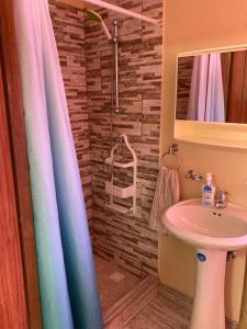 uma casa de banho com uma cortina de chuveiro e um lavatório em Oranjestad Apartment em Oranjestad
