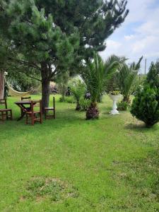 een park met een picknicktafel en een boom bij ROMFER in San Eduardo del Mar +24 foto's