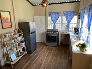 eine Küche mit einem Kühlschrank aus Edelstahl und einer Spüle in der Unterkunft El Hogar del Torogoz in Concepción de Ataco