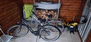 Attività di ciclismo presso la casa vacanze o nelle vicinanze